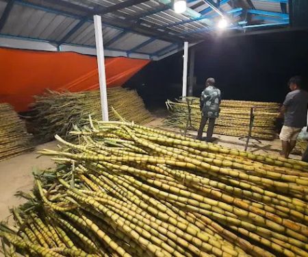 RIMBUNAN HIJAU AGROFARM
