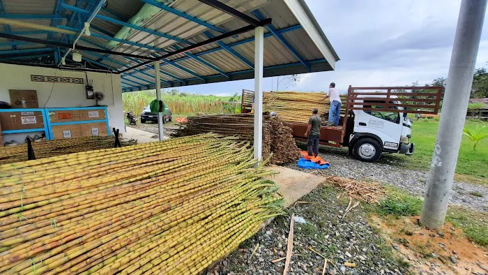 RIMBUNAN HIJAU AGROFARM Picture 4