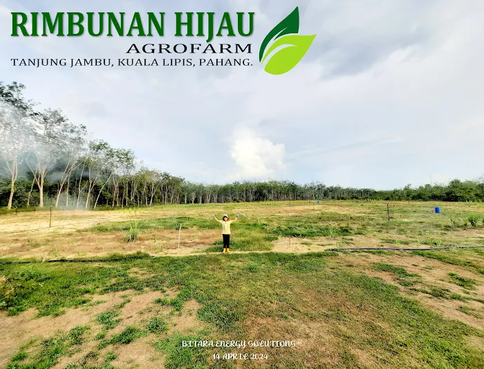 RIMBUNAN HIJAU AGROFARM Picture 10