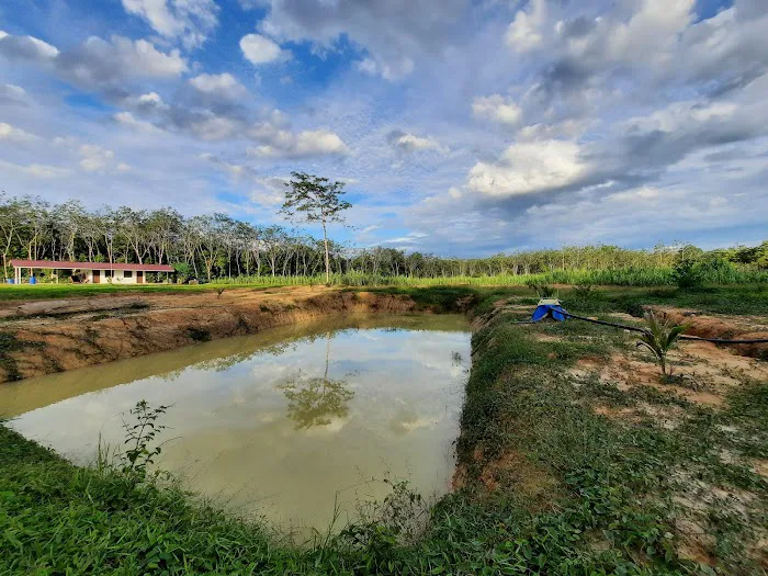 RIMBUNAN HIJAU AGROFARM Picture 8