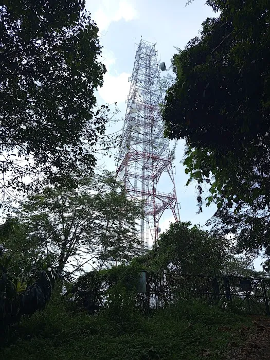 Bukit Lanjan Picture 6