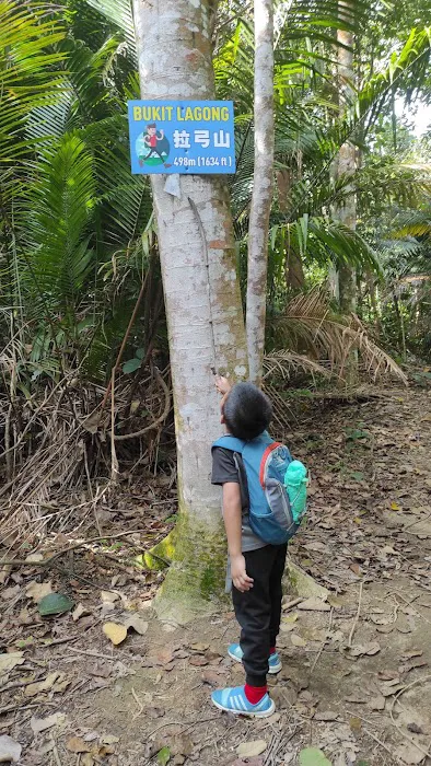 Bukit Lagong Peak (Trig Station) Picture 10