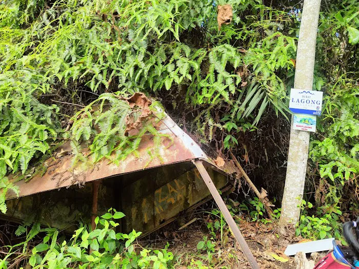 Bukit Lagong Peak (Trig Station) Picture 6