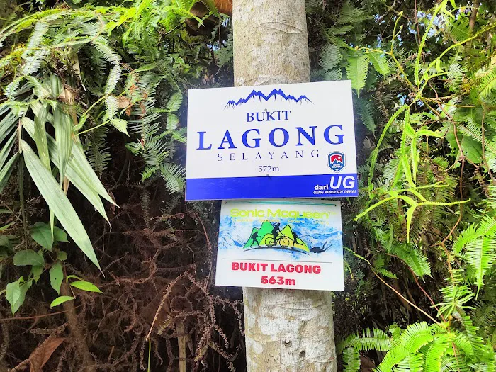 Bukit Lagong Peak (Trig Station) Picture 5