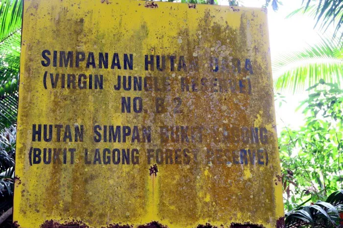 Bukit Lagong Peak (Trig Station) Picture 1