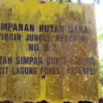 Bukit Lagong Peak (Trig Station)