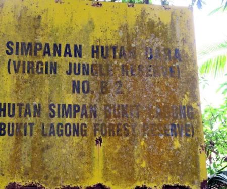 Bukit Lagong Peak (Trig Station)