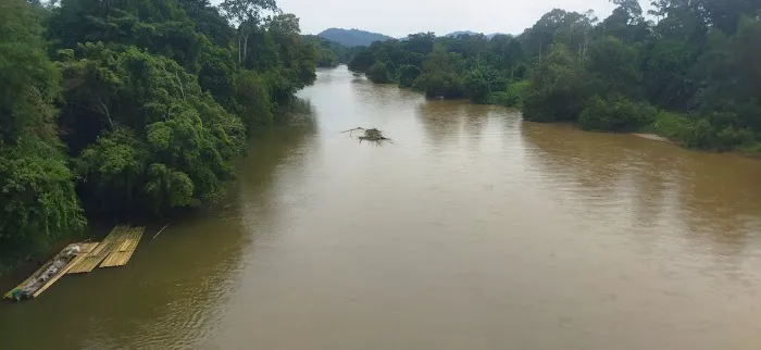 Jambatan Kuala Medang Picture 2