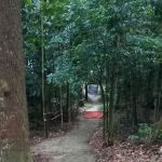 Damansara Damai Urban Park 2 ( Bike Park )