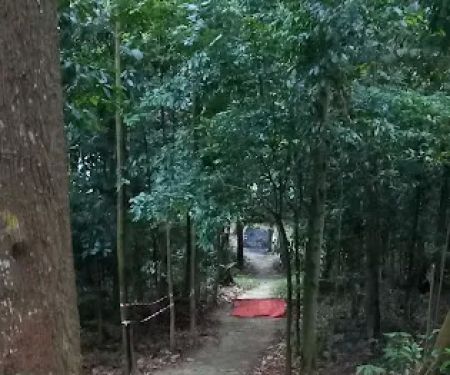 Damansara Damai Urban Park 2 ( Bike Park )