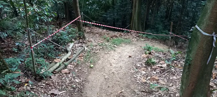 Damansara Damai Urban Park 2 ( Bike Park ) Picture 5