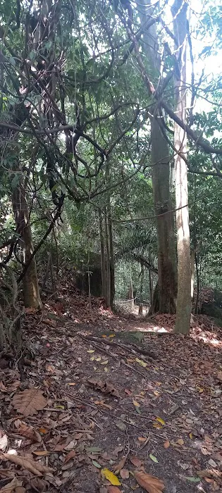 Damansara Damai Urban Park 2 ( Bike Park ) Picture 10