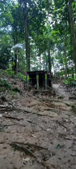 Damansara Damai Urban Park 2 ( Bike Park ) Picture 3
