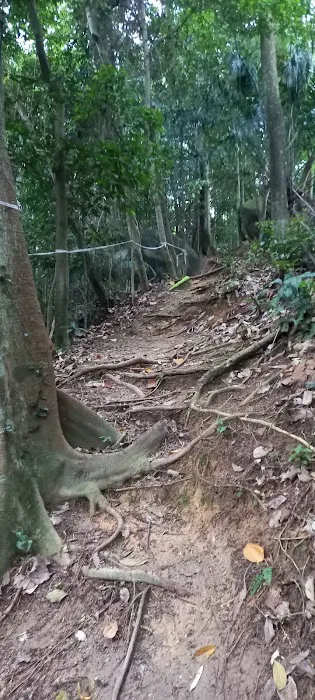 Damansara Damai Urban Park 2 ( Bike Park ) Picture 2