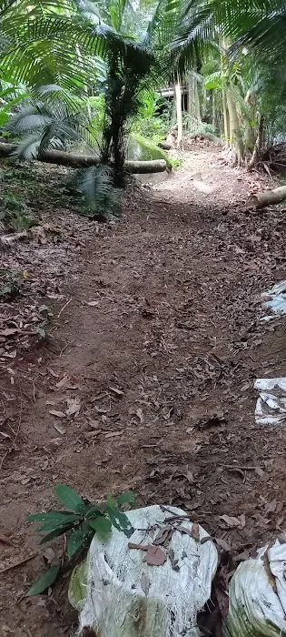 Damansara Damai Urban Park 2 ( Bike Park ) Picture 8