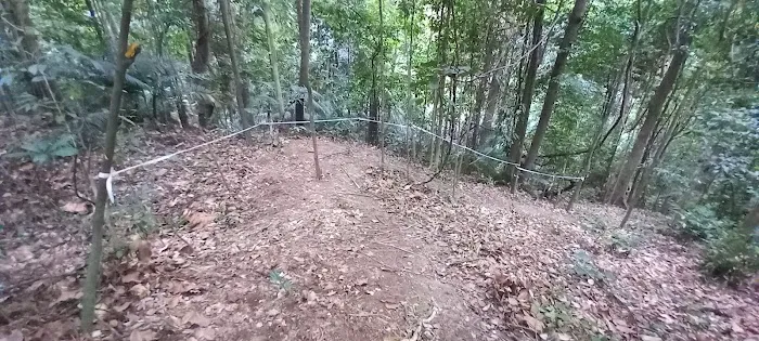 Damansara Damai Urban Park 2 ( Bike Park ) Picture 6