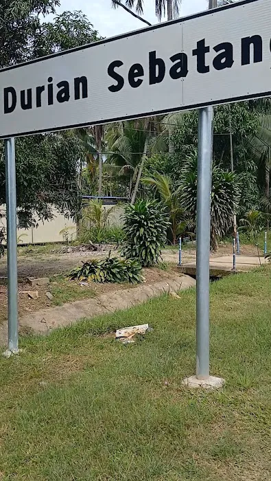 KAMPUNG DURIAN SEBATANG Picture 1