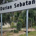KAMPUNG DURIAN SEBATANG