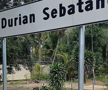 KAMPUNG DURIAN SEBATANG