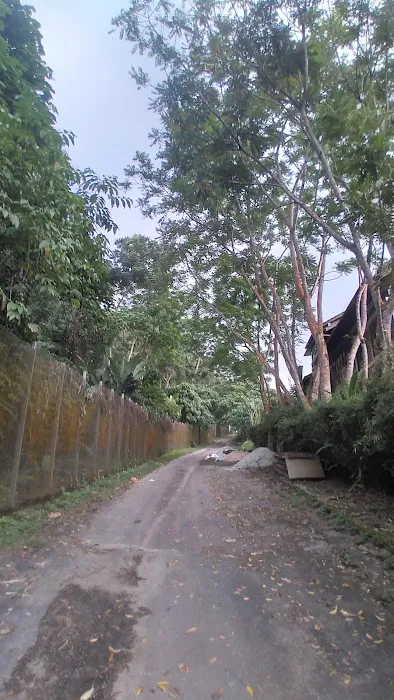 Jalan Tikus Bukit Kiara Picture 2