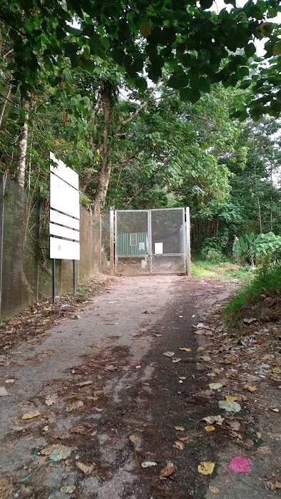 Jalan Tikus Bukit Kiara Picture 1