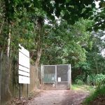 Jalan Tikus Bukit Kiara
