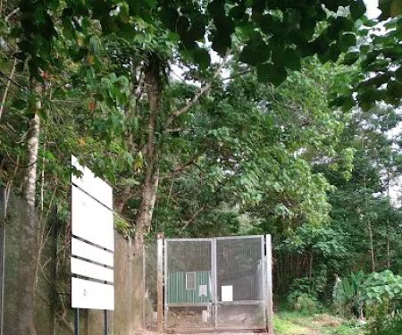 Jalan Tikus Bukit Kiara