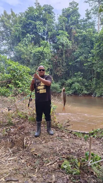 Ecco parit camp site Picture 2