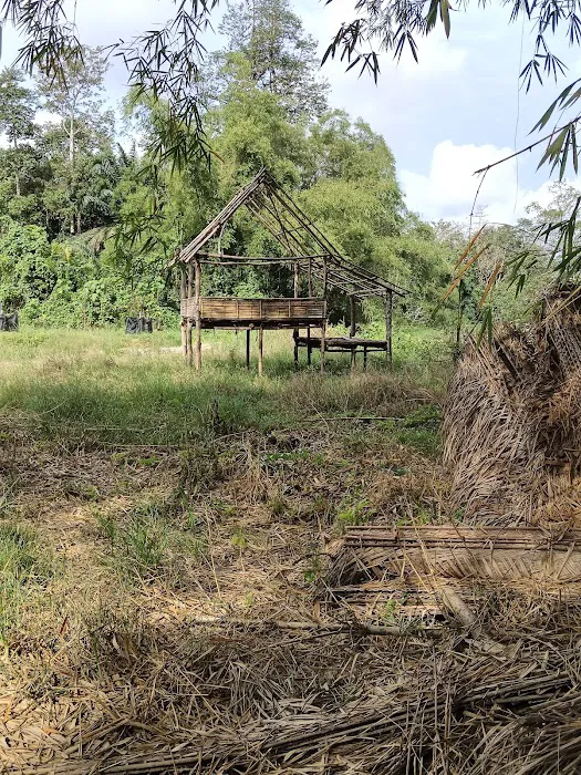 Ecco parit camp site Picture 10