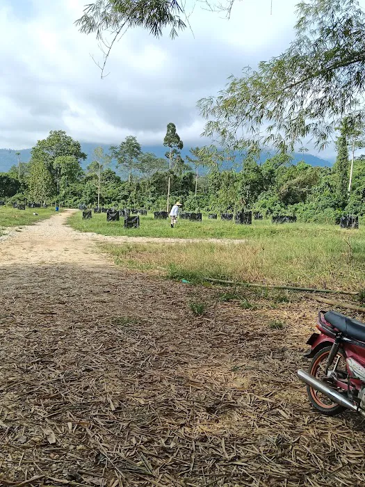 Ecco parit camp site Picture 9