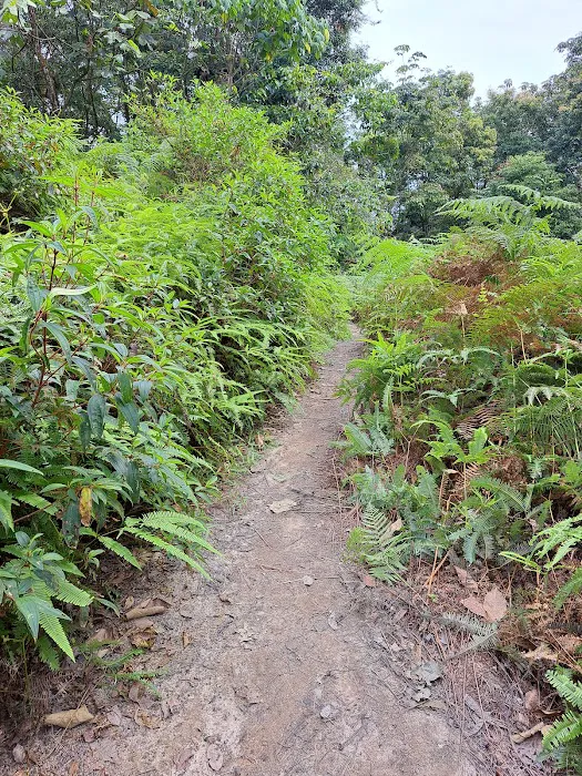 Bukit Kiara Peak Picture 9