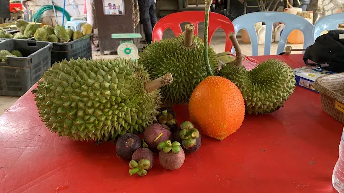 Raub Durian Orchard Picture 3