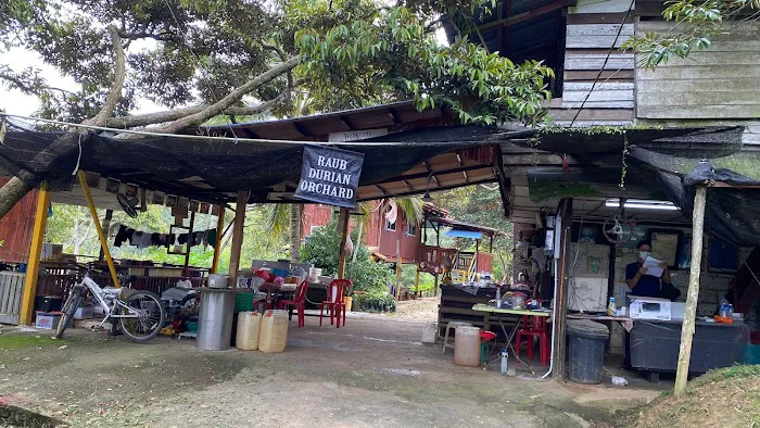 Raub Durian Orchard Picture 1