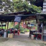 Raub Durian Orchard