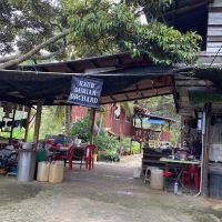 Raub Durian Orchard ico