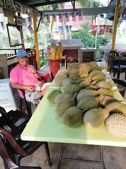 Raub Durian Orchard Picture 4
