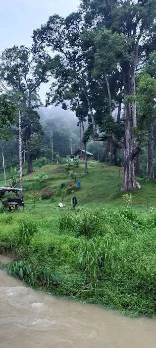 Lata Chu Picture 1