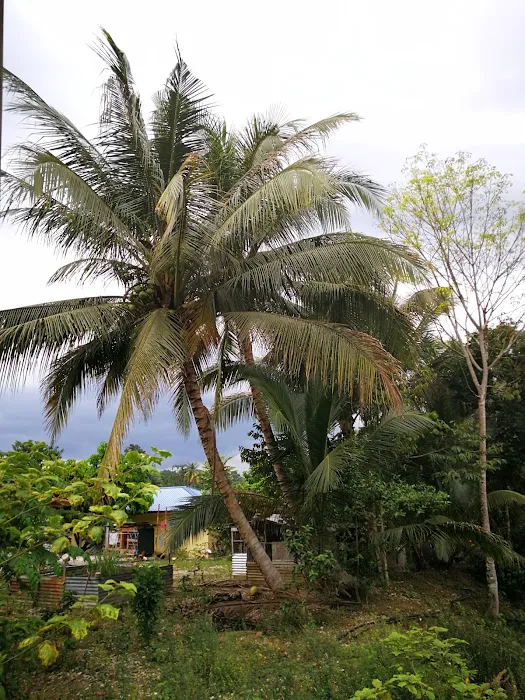 Taman Penjom Indah Picture 4