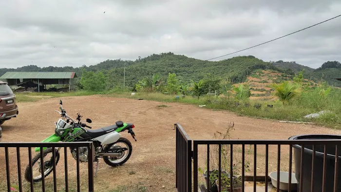 CC Lim Durian Plantation Picture 6