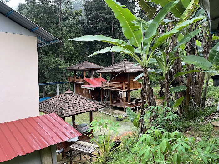 Alif Camp & Chalet Picture 8