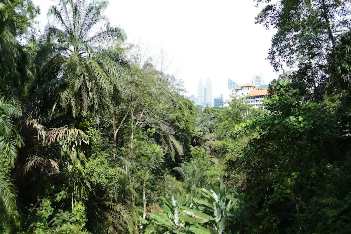Taman Tugu Hike Trails Picture 8
