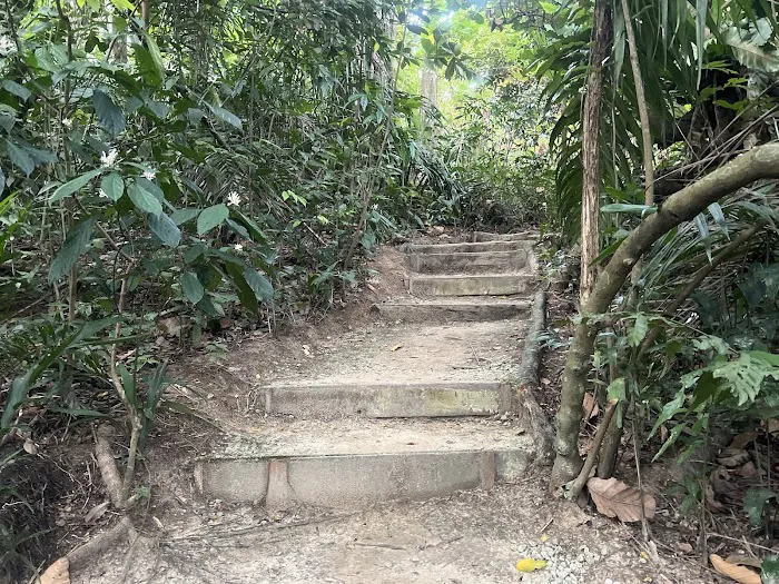 Taman Tugu Hike Trails Picture 7