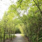 Taman Tugu Hike Trails