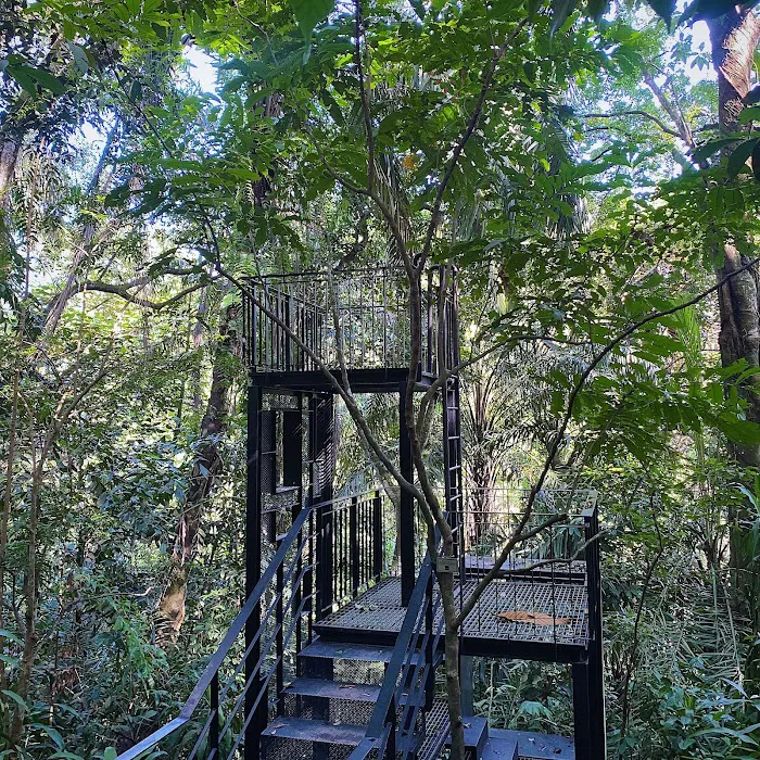 Taman Tugu Hike Trails Picture 4