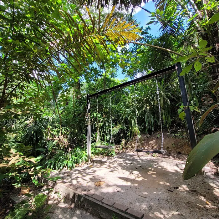 Taman Tugu Hike Trails Picture 3