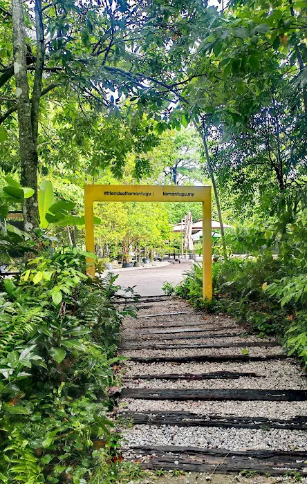 Taman Tugu Hike Trails Picture 9