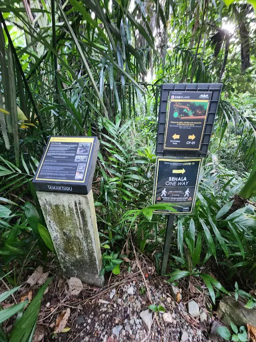 Taman Tugu Hike Trails Picture 10