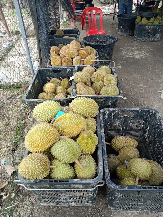 Kakmah kerutuk itik Picture 3