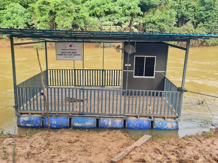 Rumah Rakit Mykp Aur Gading Picture 10
