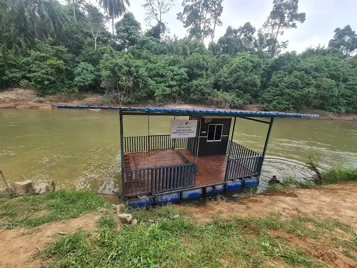 Rumah Rakit Mykp Aur Gading Picture 8